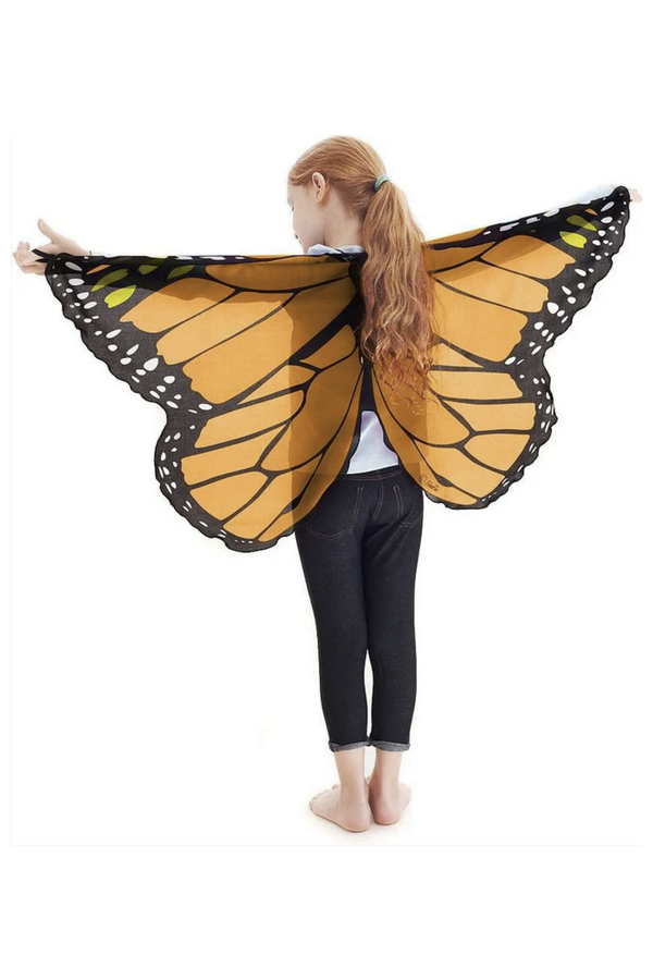 Dreamy Dress-Up Butterfly Wings