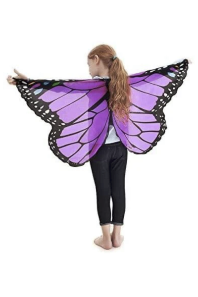 Dreamy Dress-Up Butterfly Wings
