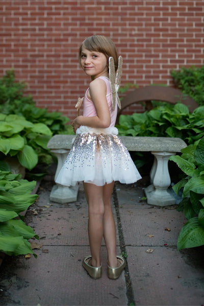 Skirt, Wings & Wand Set